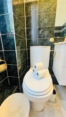 a bathroom with a toilet with two towels on it at Sublime 2 bedroom spacious and bright AC Private parking in Nice