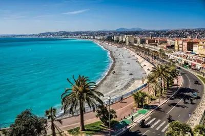 a view of a beach with palm trees and the ocean at Appartement rénové Vieux Nice in Nice