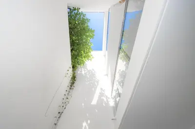 a room with a window and a plant at Appartement neuf - Patio intérieur - Parking - EF in Èze