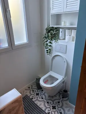 a bathroom with a toilet with a plant on the floor at Renovated F3 Parking Clim Nice Mont Boron in Nice