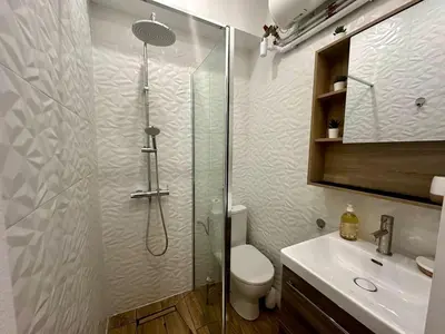 a bathroom with a shower and a toilet and a sink at Studette tout équipée centre ville de Nice in Nice