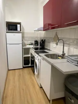 a kitchen with a washing machine and a sink at Charmant T2 Nice proche promenade des anglais in Nice
