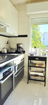 a kitchen with stainless steel appliances and a window at Spacious 3 room close to tram and amenities in Nice