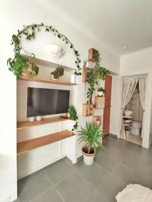 a living room with potted plants and a flat screen tv at Studio Jungle Bohème - à 3 min de la Promenade des anglais à pieds in Nice