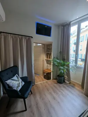 a living room with a chair and a plant at Beautiful luxurious apartment in Nice
