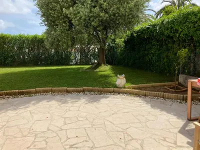 a cat sitting on the ground next to a tree at Beautiful 3 bedroom apartment with nice garden in Nice