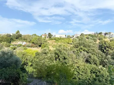 a group of houses on a hill with trees at Charmant chalet avec jardin in Nice