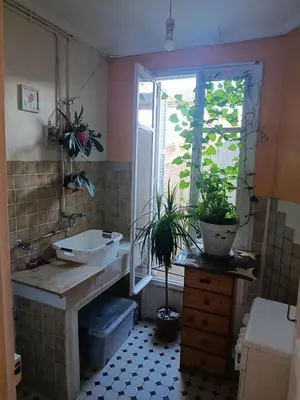 a bathroom with a sink and two potted plants at Chambre niçoise in Nice