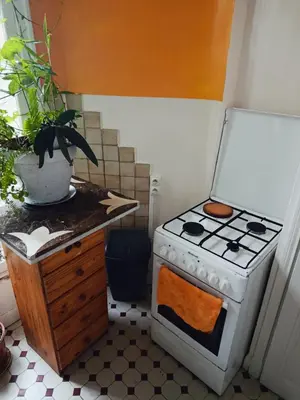 a kitchen with a stove and a potted plant at Chambre niçoise in Nice