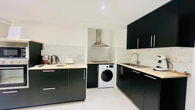 a kitchen with green cabinets and a washer and dryer at Palais Clerissy - Appartement 2 à 4 personnes centre ville Nice in Nice