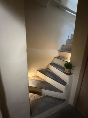 a stairway with a potted plant on it at Studio Place Rossetti - Old Nice Center in Nice