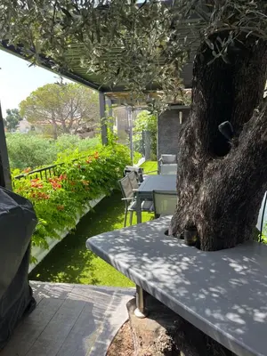 a tree sitting next to a bench next to a tree at Appartement dans villa vue mer piscine partagée in Saint-Laurent-du-Var