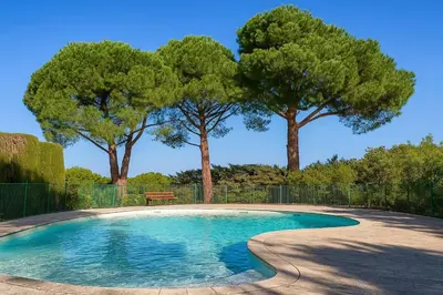 a swimming pool with two trees in the background at Havre de Paix Mont Boron Proche du Port in Nice