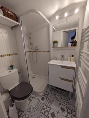 a bathroom with a toilet and a sink and a shower at Palais des arts in Nice