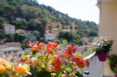 a bunch of flowers on a balcony with a mountain at Appartement luxueux entier 3 chambres in Nice