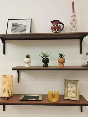 a set of shelves on a wall with plants at Old town Nice, near Flower Market in Nice