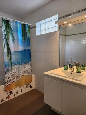 a bathroom with a sink and a shower curtain at Charmant 2 pièces, centre ville & proche gare in Nice