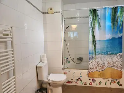a bathroom with a toilet and a shower curtain at Charmant 2 pièces, centre ville & proche gare in Nice