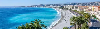 a view of a beach with palm trees and the ocean at 115 Promenade des Anglais in Nice
