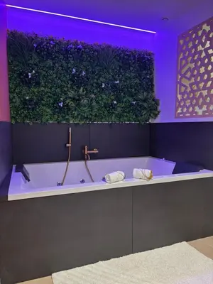 a bathroom with a bath tub with a plant at Suite orientale avec baignoire balnéo in Cagnes-sur-Mer