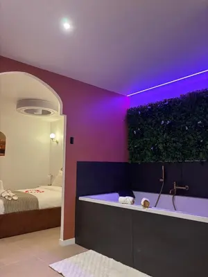 a room with a tub with a plant on the wall at Suite orientale avec baignoire balnéo in Cagnes-sur-Mer