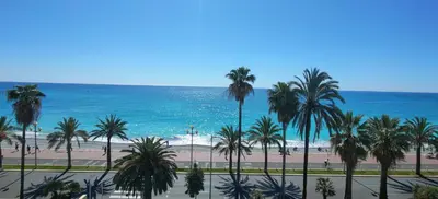 a view of a beach with palm trees and the ocean at Luxe Apartements Azur in Nice