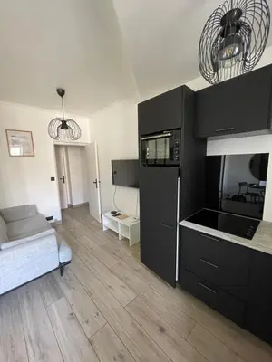 a living room with a kitchen with black cabinets at Charmant 2 pièces - Hyper Centre de Nice in Nice