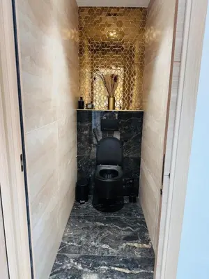 a bathroom with a black toilet in a room at LE PALAIS DIANE - Apt cosy, Moderne et Climatisé in Nice