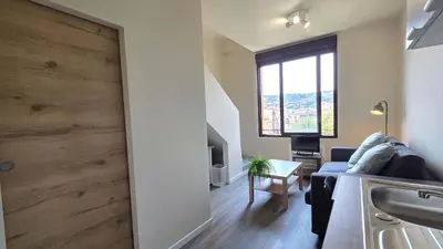 a living room with a sliding barn door with a fireplace at LX155 Roof terrace city center Mobility Lease in Nice