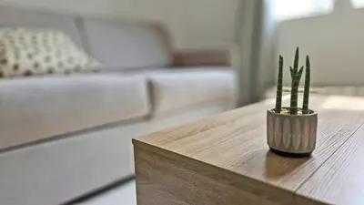 a coffee table with a vase with plants on it at LX149 Studio lumineux fonctionnel - Bail mobilite in Nice