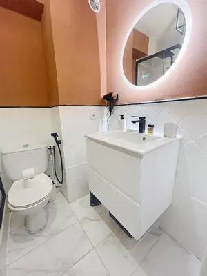 a bathroom with a toilet and a sink and a mirror at Sunny studio on a high floor with terrace in Nice