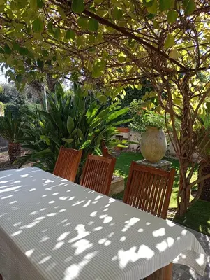 a table and chairs under a tree in a yard at Bas de villa , coin détente extérieur et parking in Cagnes-sur-Mer