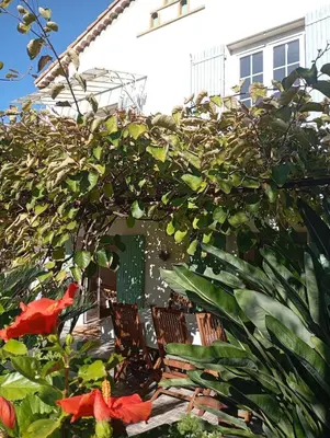 a patio with chairs and a bunch of plants at Bas de villa , coin détente extérieur et parking in Cagnes-sur-Mer