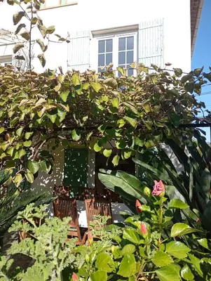 a building with a lot of green plants and a tree at Bas de villa , coin détente extérieur et parking in Cagnes-sur-Mer