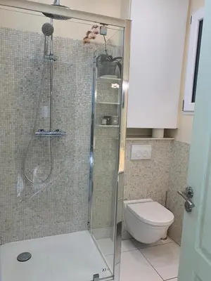 a bathroom with a shower and a toilet at Appartement et terrasse Nice centre in Nice