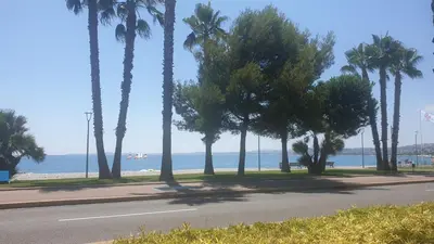 a street with palm trees on the side of a road at Cagnes 4 Pers Parking Bord de Mer Terrasse Clim in Cagnes-sur-Mer