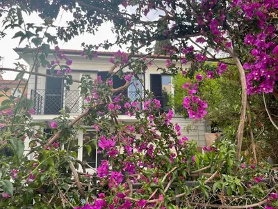 a white house with purple flowers in front of it at Luxury villa with Pool and Garden perfect location in Beaulieu-sur-Mer