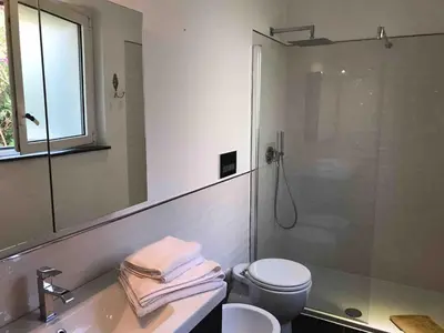 a bathroom with a shower and a toilet and a sink at Luxury villa with Pool and Garden perfect location in Beaulieu-sur-Mer