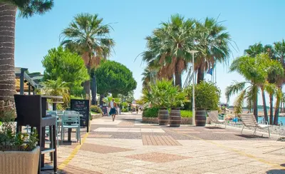 a person walking down a sidewalk with palm trees at Studio de la Villa Thérèse, Piscine & Jardin in Saint-Laurent-du-Var