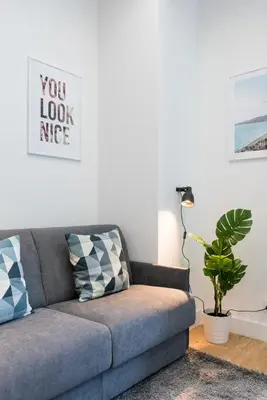 a gray couch in a living room with a plant at 1 CASSINI LOT 5 - Magnifique Studio - Garibaldi - Port in Nice