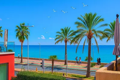 a view of a beach with palm trees and the ocean at Beach Studio on Cagnes sea front in Cagnes-sur-Mer