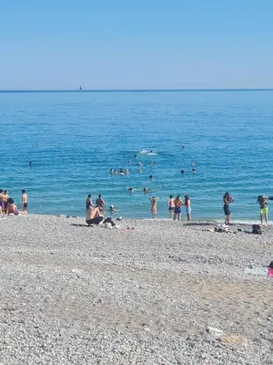 a bird flying over the ocean next to a city at Cozy & Lumineux Studio proche mer in Nice
