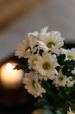 a bunch of white flowers in a vase with a candle at Wonderful Stay close to Garibaldi - Aircon in Nice