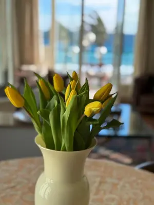 a vase filled with yellow flowers sitting on a table at Casa Giacometti Vue Mer Lumiere et Horizon in Nice