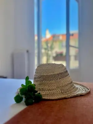 a straw hat sitting on a table with a green plant at Un cocon en centre ville de Nice 2 personnes in Nice