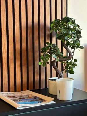 a table with a potted plant and a magazine at Appartement moderne climatisé avec piscine, terrasse et parking - Proche Promenade des Anglais in Nice