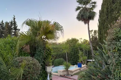 a garden with a palm tree and a swimming pool at Studio indépendant en villa Calme, Jardins et Piscine à 5 min de la Mer in Nice