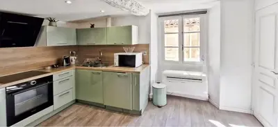 a kitchen with green cabinets and a microwave at Sunny Old Town Studio in Nice
