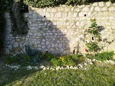 a stone wall with a plant growing on it at Maison de charme piscine vue mer in Èze