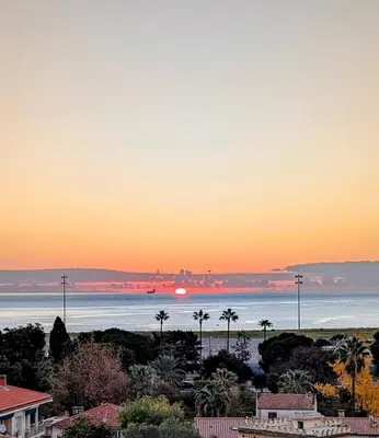 a sunset over a beach with palm trees and the ocean at PANORAMIC SEA VIEW with PRIVATE PARKING and AC in Nice